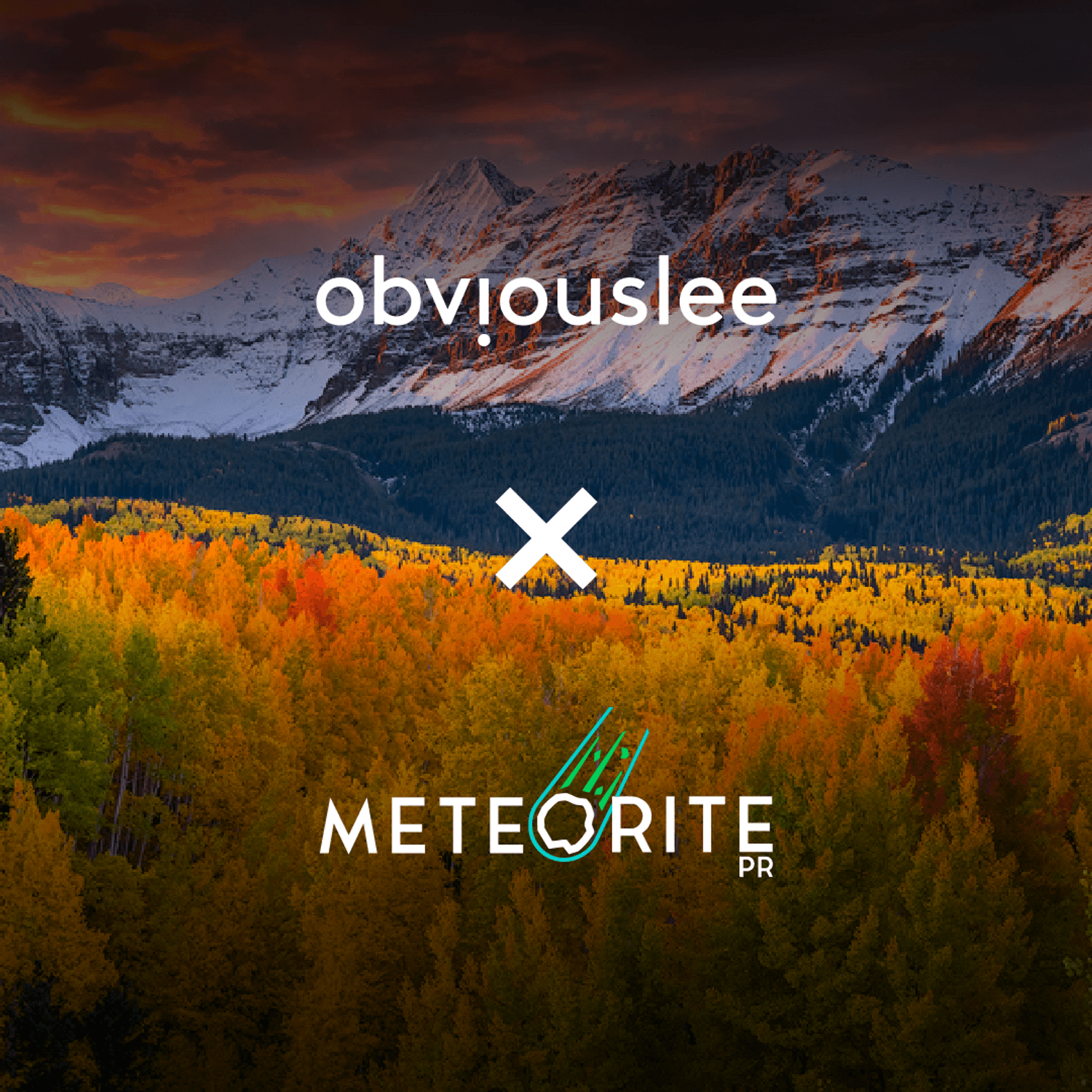 Obviouslee + Meteorite PR: Joining Forces to Shape the Future of Outdoor Marketing
